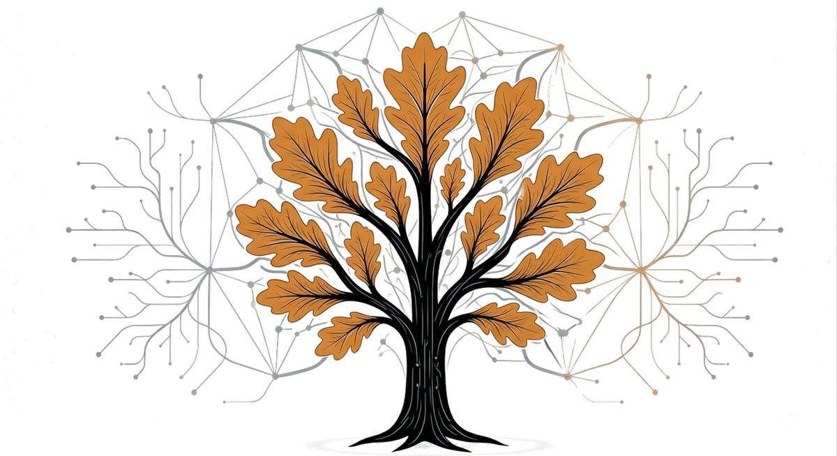 Pin Oak network tree illustration